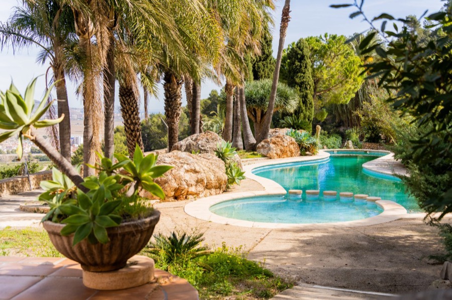 Un jardín con piscina bajo las palmeras